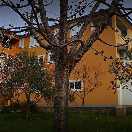 Appartement Mihaela 52 Dobropoljana